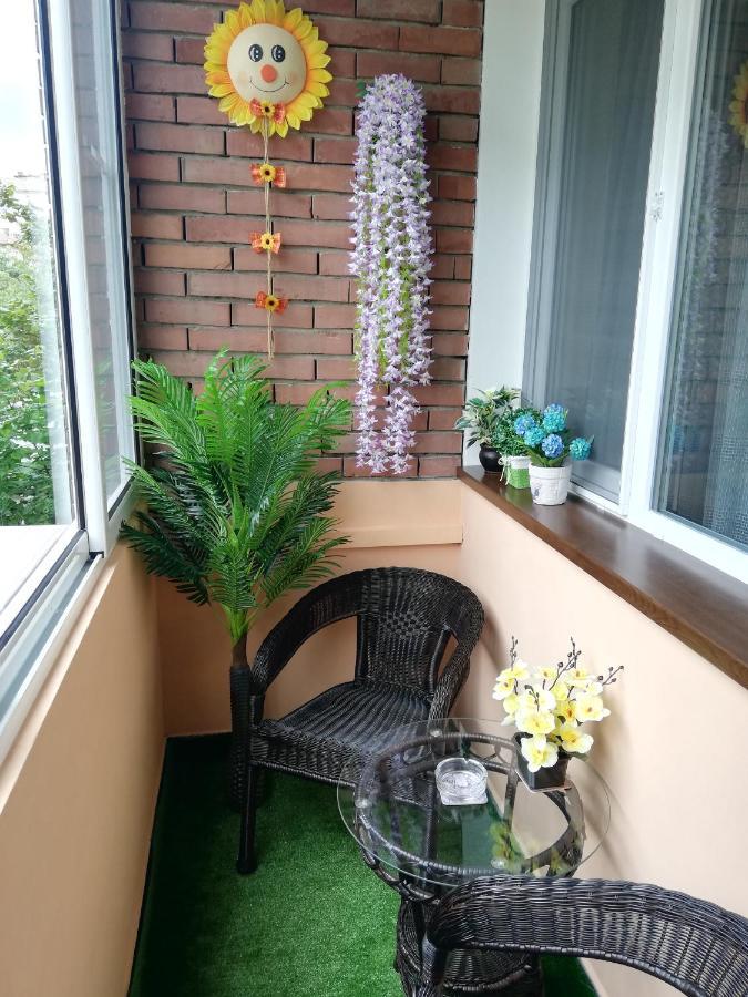 וליקו טורנובו Apartment Ani מראה חיצוני תמונה